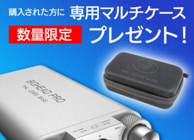 BIGHEADPROプレゼント5-4比率用